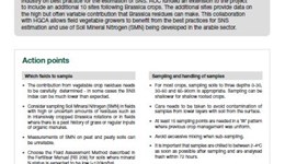 Soil Nitrogen Supply for Field Vegetables